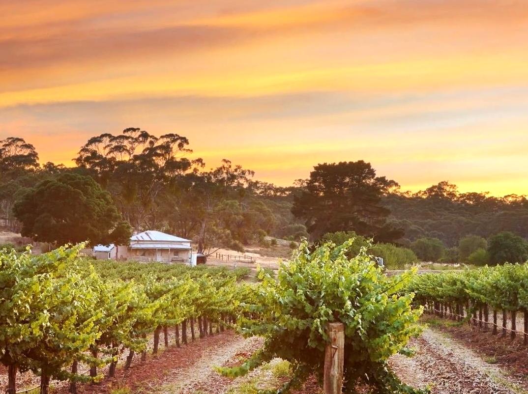 Guide to the Clare Valley