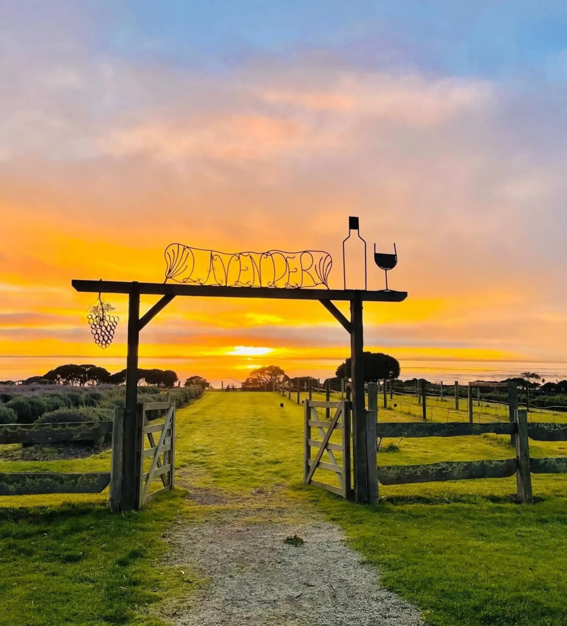 Phillip Island Festival of Stories: Creativity & Culture Awaits